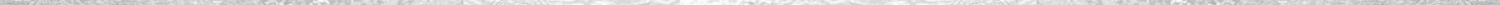 accent_images-Horizontal-Line-Silver